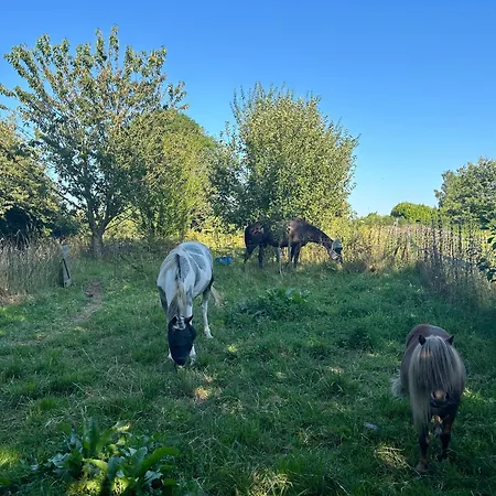 펜션 Escape In A Charming House 펠루이