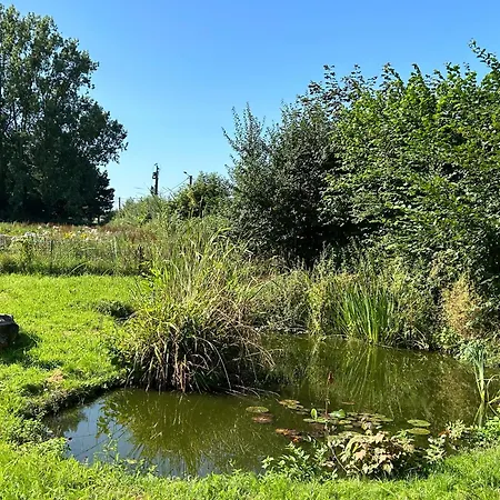 Escape In A Charming House 펜션 펠루이