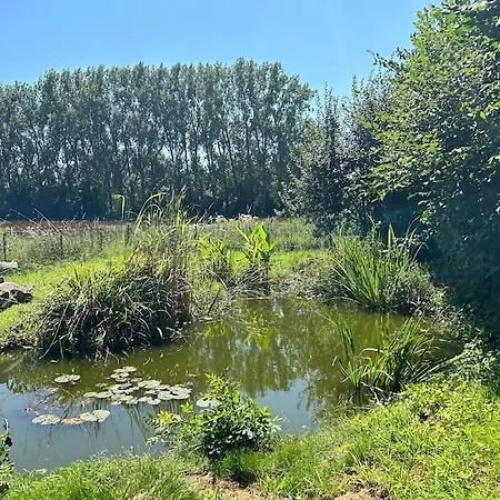 Escape In A Charming House